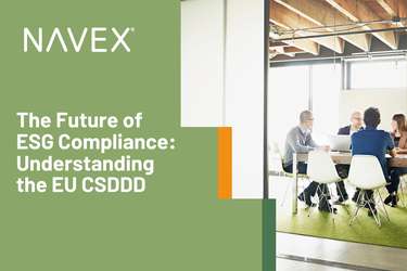 The Future of ESG Compliance: Understanding the EU CSDDD