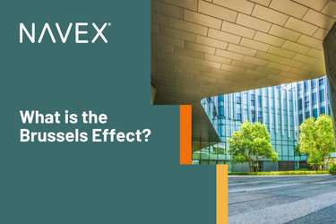 What is the Brussels Effect?