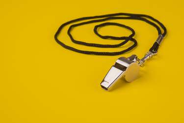 The EU Whistleblower Protection Directive – How are member states handling the transposition?